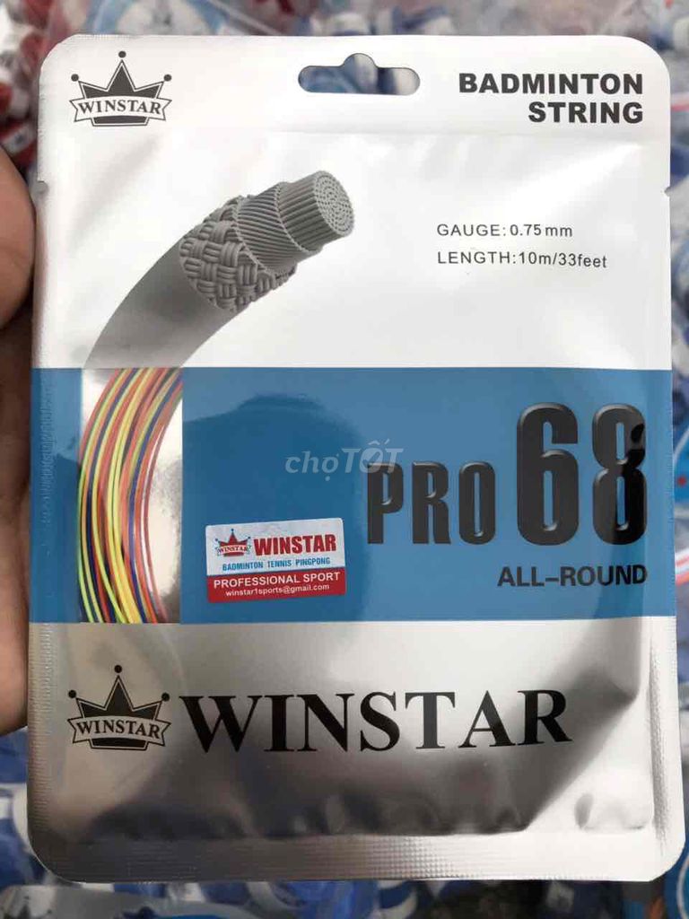 Vợt cầu lông carbon cao cấp Winstar 12.5kg lưới