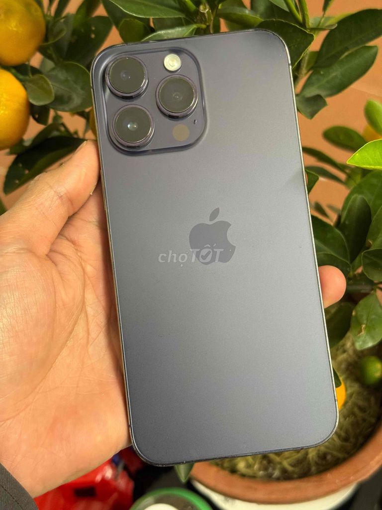 14promax 128gb quốc tế giá siêu rẻ. Mua bán Điện thoại tại Thành phố Đà Lạt Lâm Đồng được đăng bởi nhanh gọn lẹ hình 1