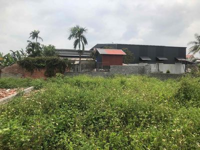 Đất 80m2 thổ cư, KCN Tiên Cường, Tiên Lãng hơn 500 triệu đồng. Mua bán đất tại Huyện Tiên Lãng Hải Phòng được đăng bởi Nguyễn Văn Thành