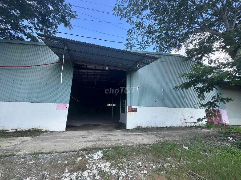 Cho thuê kho mặt tiền Mai Chí Thọ khu 586 dt 20x50- Giá 50tr/th