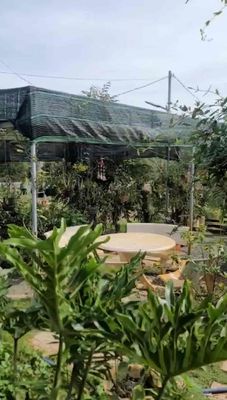 NGỘP NGỘP – ĐẤT NHÀ VƯỜN NGHỈ DƯỠNG 2.300M² TẠI MADAGUI, LÂM ĐỒNG –. Mua bán đất tại Huyện Đạ Huoai Lâm Đồng được đăng bởi PHẠM KIỀU HẠNH