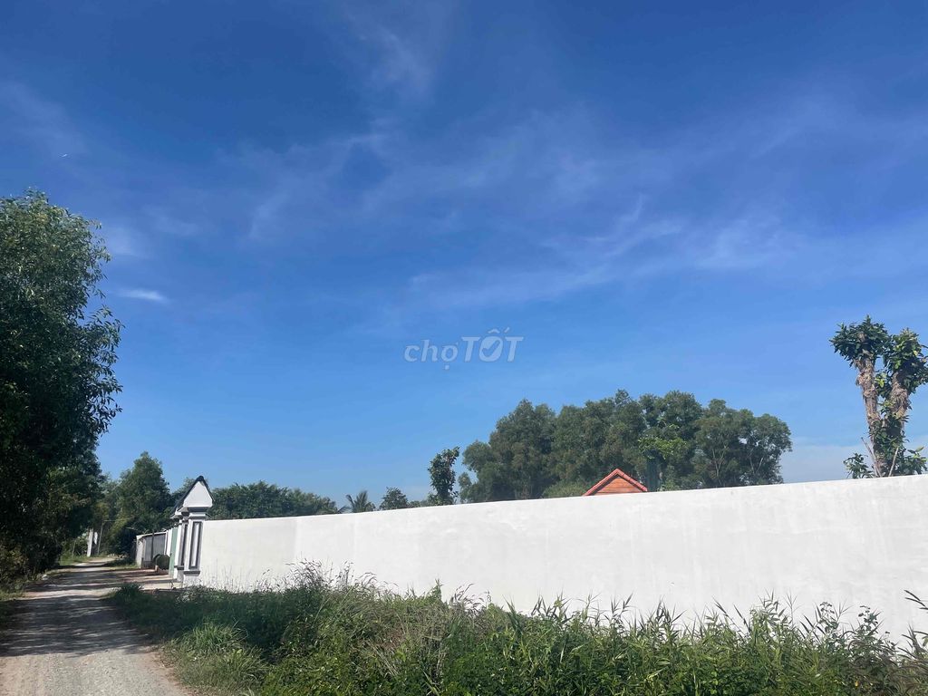 bán nhà vườn thị trấn cần giuộc long an. Mua bán đất tại Huyện Cần Giuộc Long An được đăng bởi quách minh duong hình 3