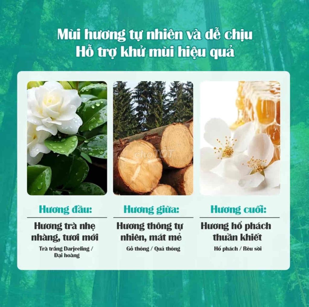 Nước tẩy bồn cầu Hương Gỗ