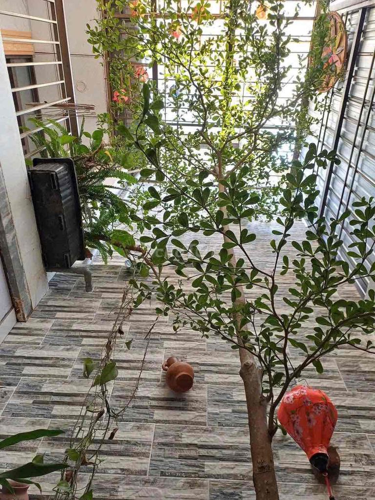 Rent · 3 bd · 100 м² · Quận Sơn Trà, ул. Trần khát Chân