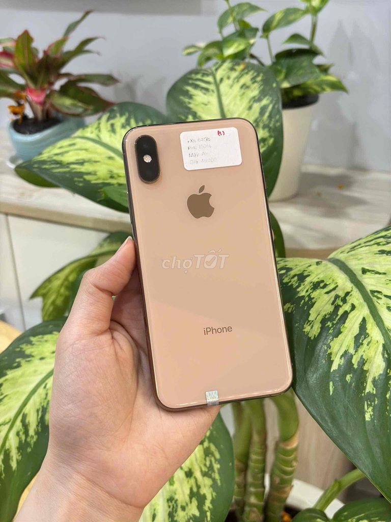 iPhone Xs 256GB quốc tế KH zin đẹp 99. Mua bán Điện thoại tại Huyện Hóc Môn Tp Hồ Chí Minh được đăng bởi SIRI STORE HCM hình 1