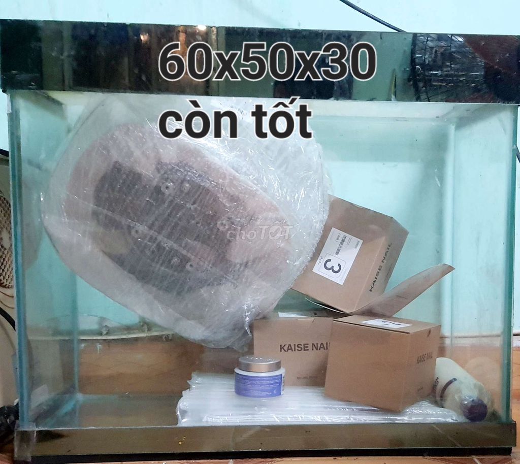 Bể cá cảnh Kính 60x50x30cm Còn tốt. Mua bán Phụ kiện, Thức ăn, Dịch vụ tại Quận Phú Nhuận Tp Hồ Chí Minh được đăng bởi Vinhhung Le hình 1