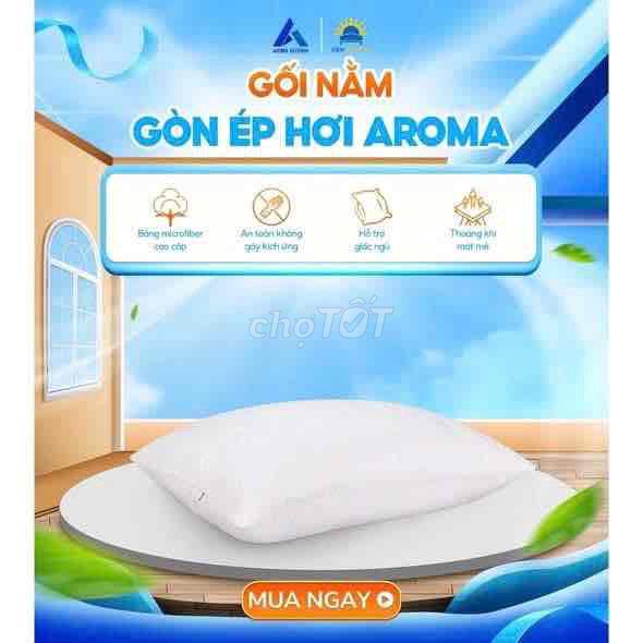 Gối Aroma Gòn ép hơi 40x60. Mua bán Giường, chăn ga gối nệm tại Thành phố Vĩnh Long Vĩnh Long được đăng bởi Long Vĩnh hình 1