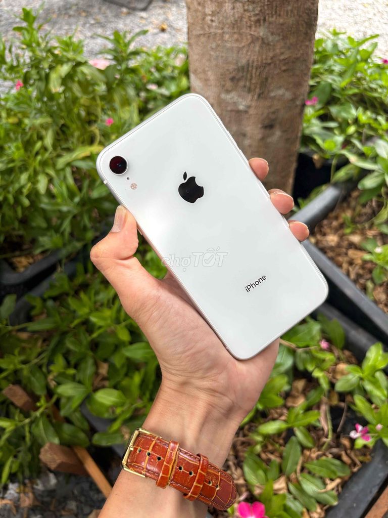 xr 64gb lock zin đẹp 98% pin zin 91. Mua bán Điện thoại tại Quận Ninh Kiều Cần Thơ được đăng bởi Tâm mobile hình 1