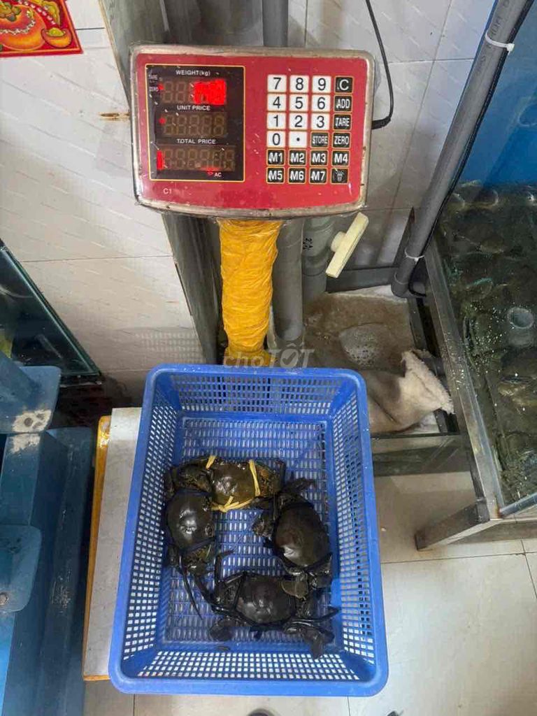 Cua cốm 350g-450g thịt gạch mềm béo. Mua bán Đồ ăn, thực phẩm và các loại khác tại Quận Gò Vấp Tp Hồ Chí Minh được đăng bởi Hùng hình 1