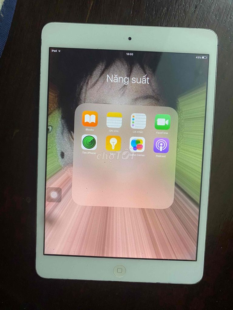 ipad MINI 1