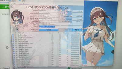 Ổ cứng HDD 2.5 cho laptop HGST 500gb tháo máy