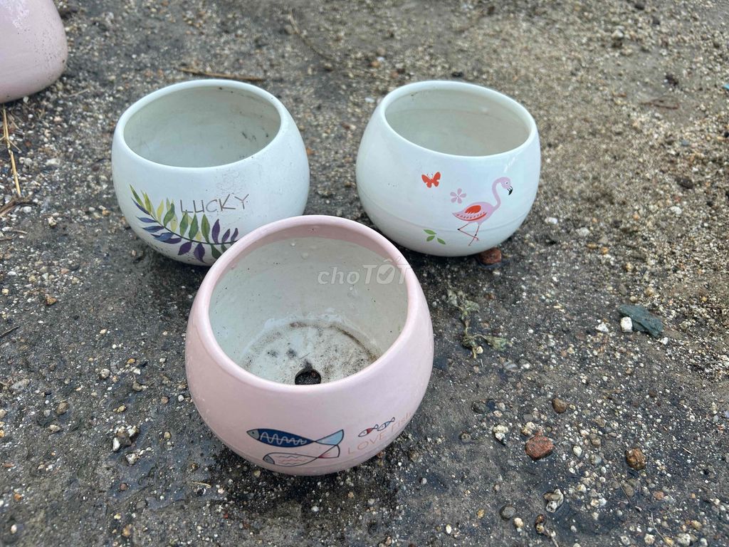 Chậu cây gốm sứ 12x8cm. Mua bán Cây cảnh, đồ trang trí tại Thành phố Phan Rang-Tháp Chàm Ninh Thuận được đăng bởi Nguyễn Hùng hình 1