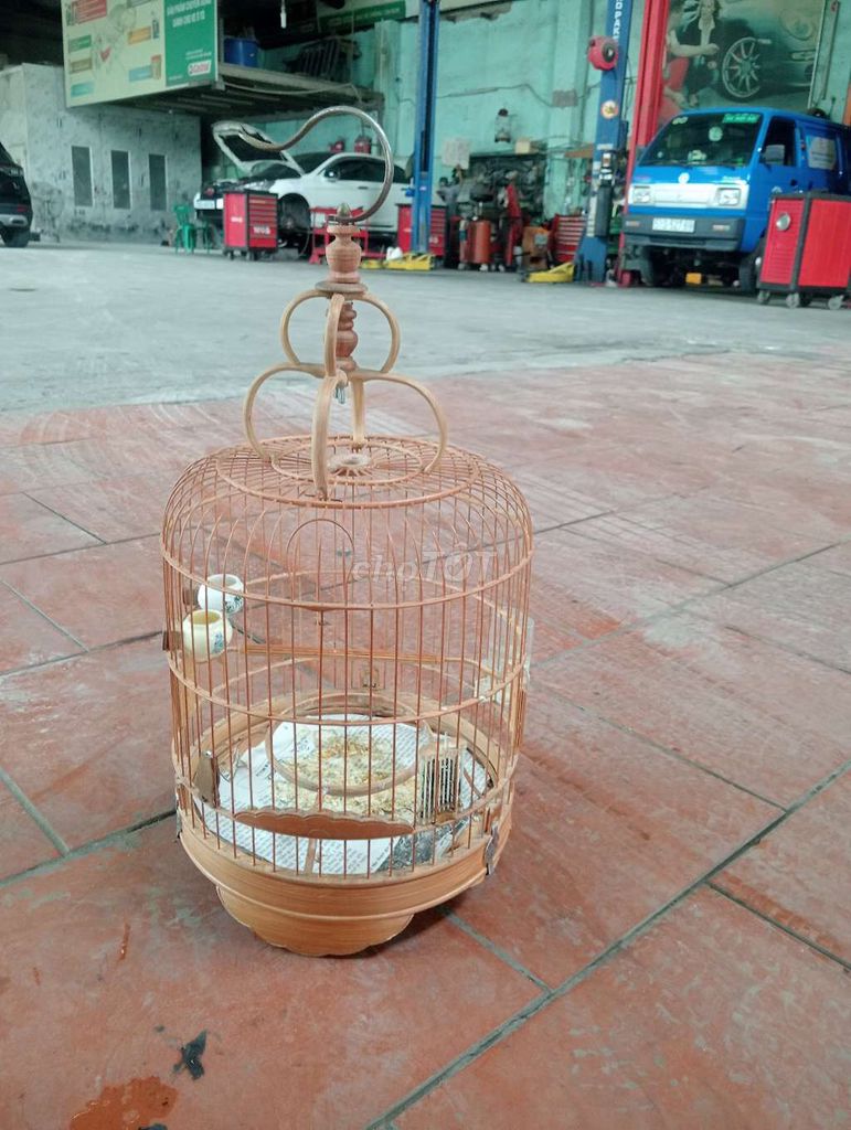 Lồng chim khuyên tre màu Nâu. Mua bán Chim tại Quận 4 Tp Hồ Chí Minh được đăng bởi Trần Anh Tuấn hình 1