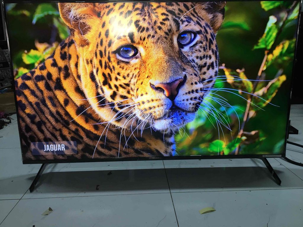 Tivi Sony Google TV 55 inch , giọng nói, bluetooth. Mua bán Tivi, Âm thanh tại Thành phố Bến Tre Bến Tre được đăng bởi Khang hình 1