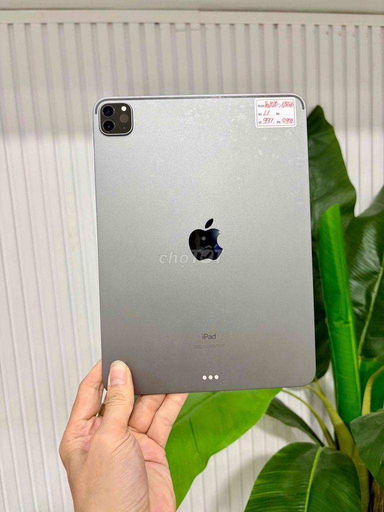 Apple iPad Pro 2020 11 inch 128GB P100% sạc 100L. Mua bán Máy tính bảng tại Quận Đống Đa Hà Nội được đăng bởi Quý Hoàng hình 1