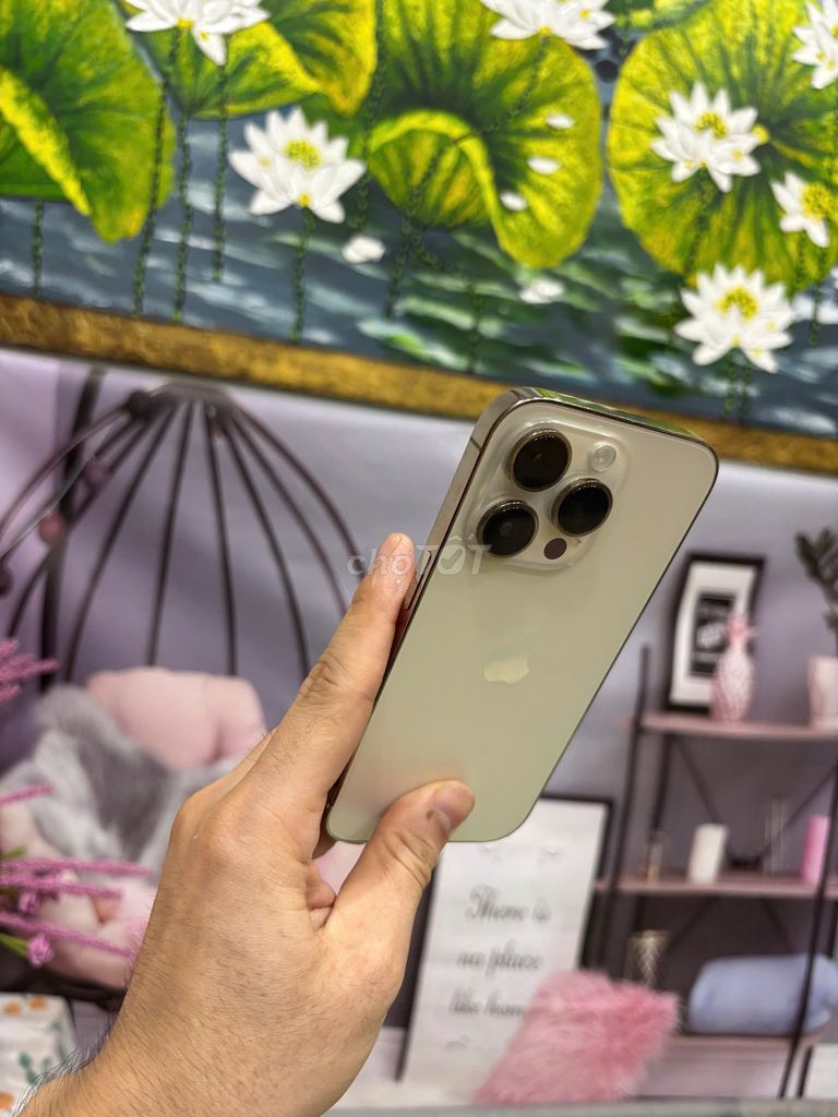 Apple iPhone 14 Pro 256GB Vàng Quốc tế. Mua bán Điện thoại tại Quận Bắc Từ Liêm Hà Nội được đăng bởi Cửa hàng Bính Táo hình 1