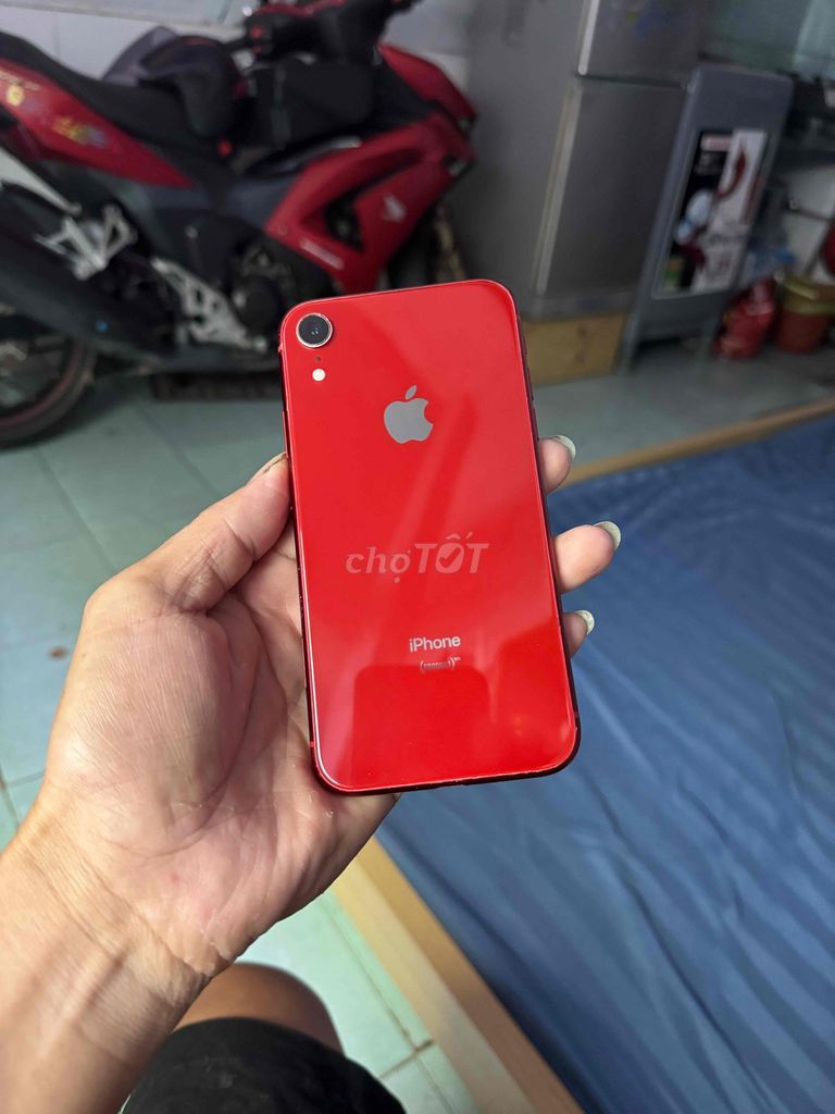 Apple iPhone XR 64GB Đỏ Đã sử dụng. Mua bán Điện thoại tại Thành phố Dĩ An Bình Dương được đăng bởi Đinh Chơi Shop ĐT Củ Dĩ An hình 1