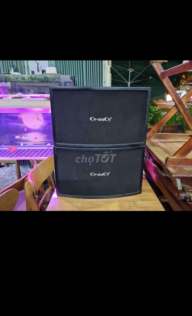 Cặp loa karaoke bass 25