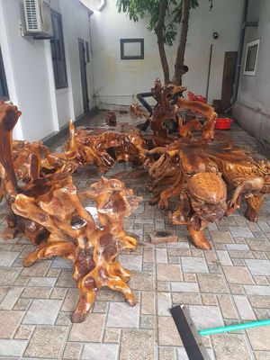 Bàn ghế gộc cây lát chun.. Mua bán Bàn ghế tại Thị xã Cửa Lò Nghệ An được đăng bởi Nguyên Lê Trung