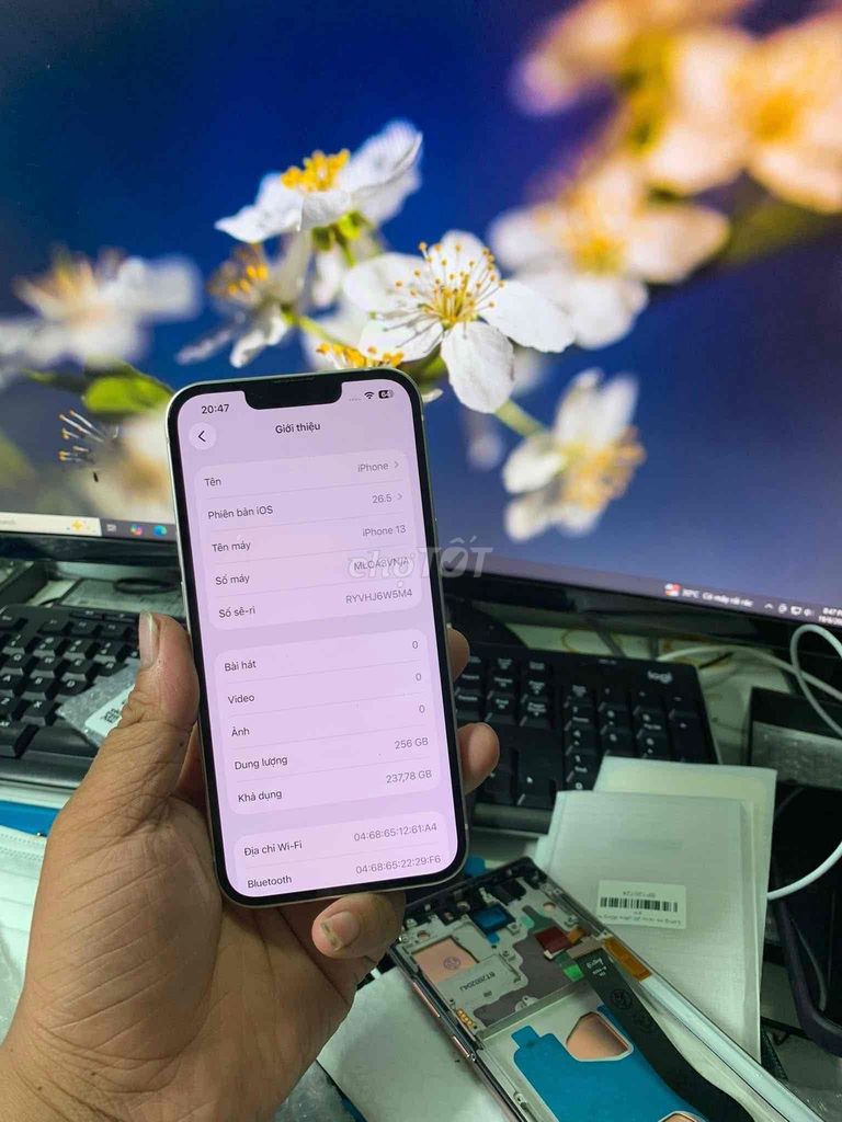 Apple iPhone 13 256GB Trắng Pin 98%. Mua bán Điện thoại tại Thành phố Thuận An Bình Dương được đăng bởi Nguyễn Lâm Hùng hình 1