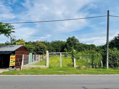 Plot of land 242 m² · Đường Hồ Văn Tắng