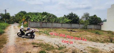 Bán đất sổ hồng riêng diện tích 230m2