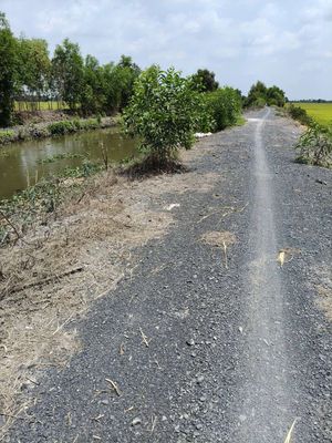 Đất lúa cập kênh