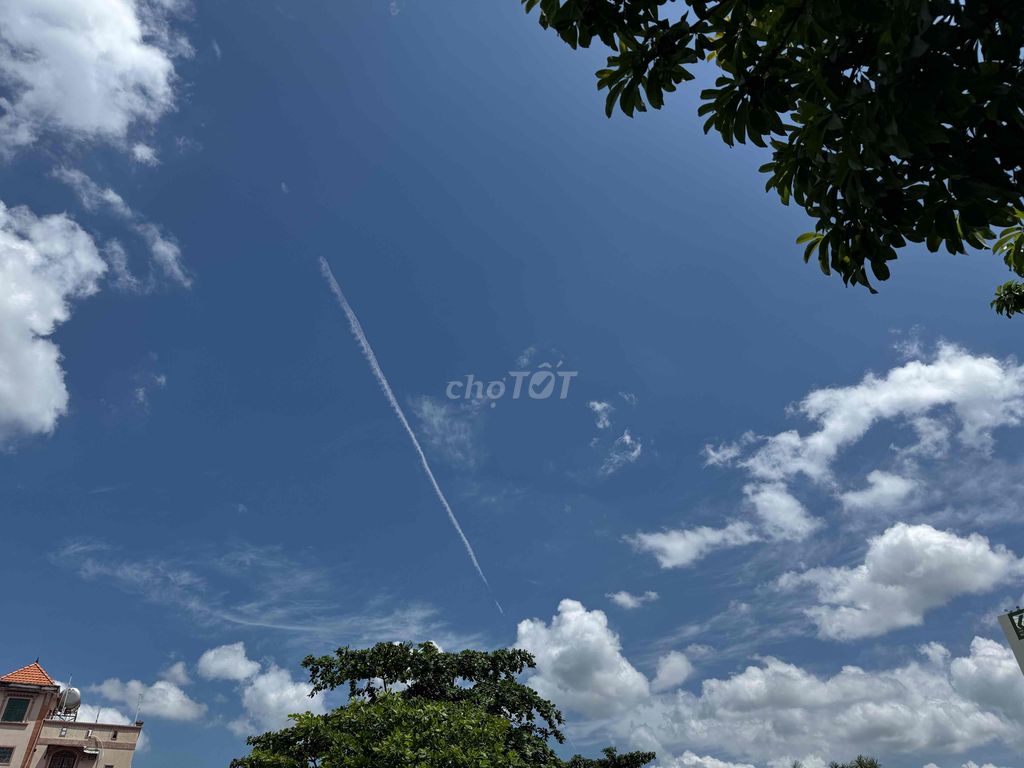 Ảnh số 8