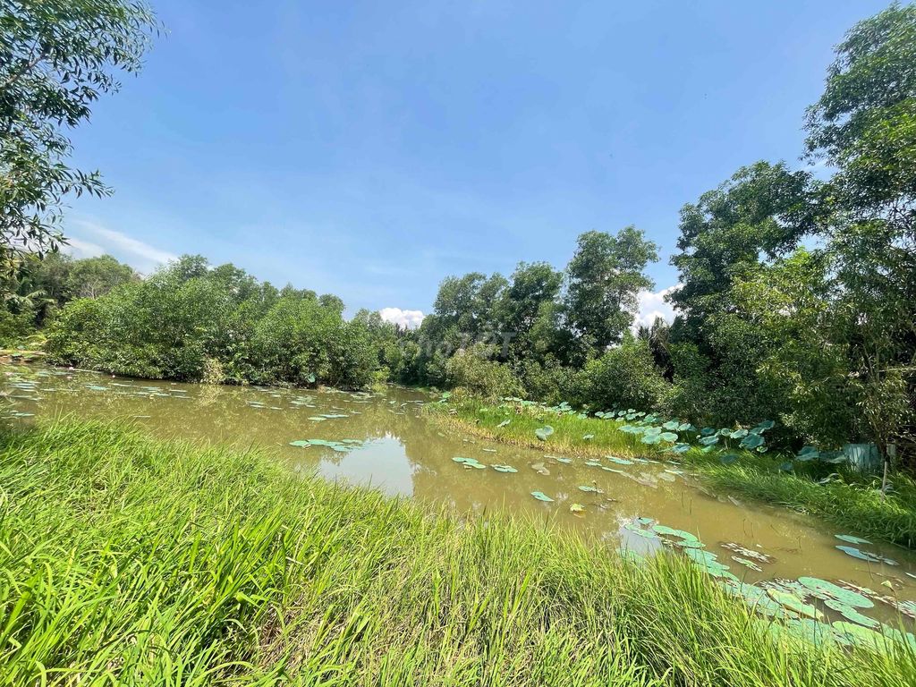 Nhà Vườn Nghỉ Dướng - Quán Ăn Sân vườn Nhơn Trạch. Mua bán đất tại Huyện Nhơn Trạch Đồng Nai được đăng bởi Đạt Lê hình 2