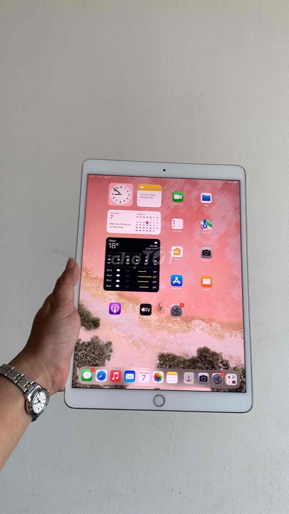 Xả Kho ipad Pro 10.5inch