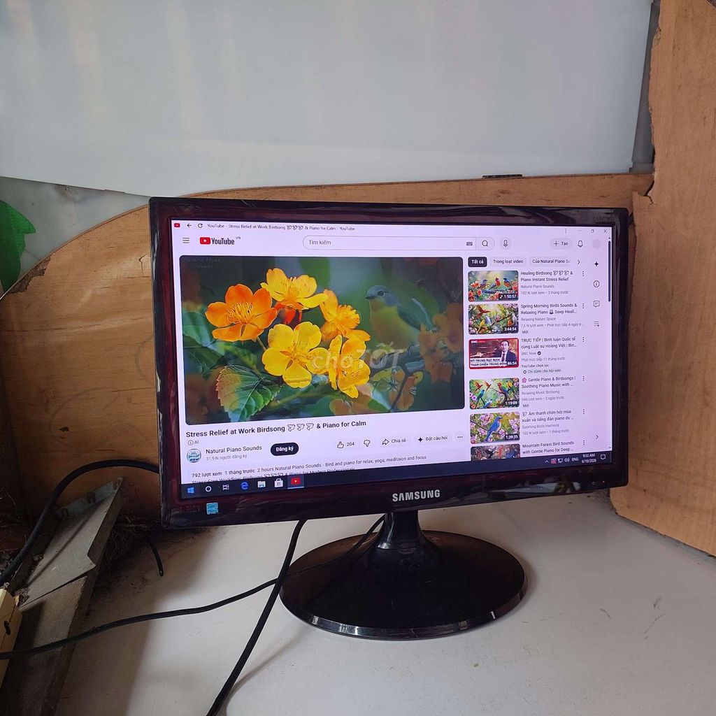Màn hình Samsung LED 19 inch Đen. Mua bán Phụ kiện (Màn hình, Chuột...) tại Quận 11 Tp Hồ Chí Minh được đăng bởi hb computer hình 1
