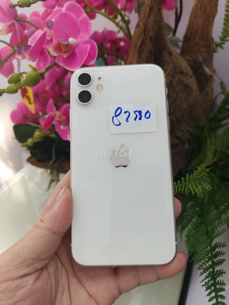 Apple iPhone 11 128GB Trắng. Mua bán Điện thoại tại Thành phố Buôn Ma Thuột Đắk Lắk được đăng bởi Tèo Điện Thoại  hình 1
