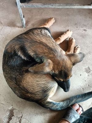 Cần chia lại cho ai cần