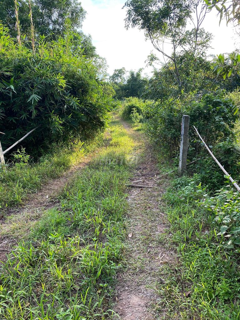 Hyundai Verna 2009 1.4 MT - 190000 km. Mua bán Ô tô tại Thành phố Đông Hà Quảng Trị được đăng bởi Trần Văn Hoàng hình 9