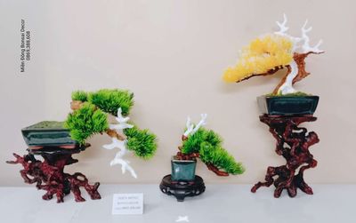 10.Bộ 3 cây Bonsai mini decor nghệ thuật