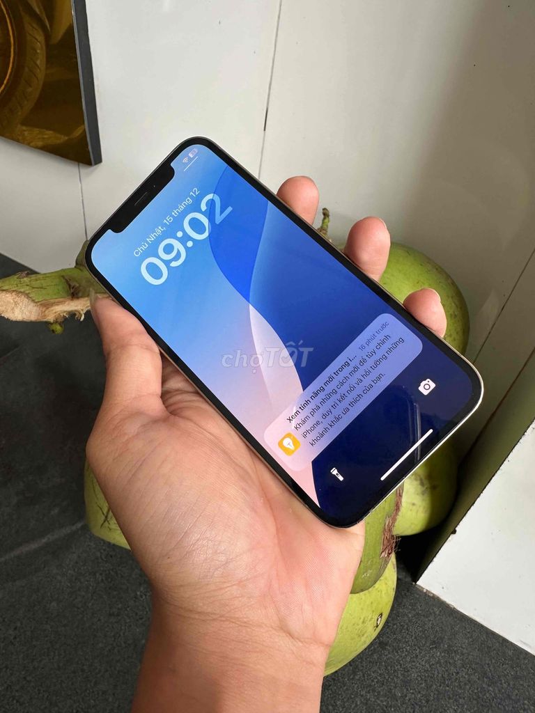 iPhone 12Pro /128GB zill fulll vàng