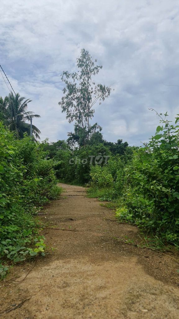 Bán 800m2 đất ngay Tỉnh Lộ 8 view sông mát mẻ có 200m2 thổ cư