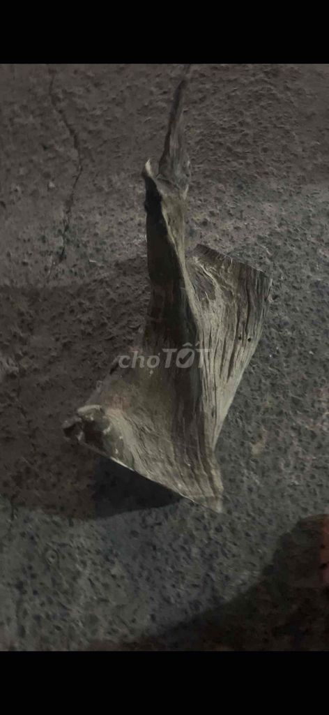 Lũa gỗ Gỗ Nâu xám. Mua bán Cây cảnh, đồ trang trí tại Quận 8 Tp Hồ Chí Minh được đăng bởi Huynh tiền  hình 1