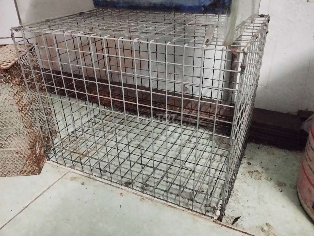 Lồng nuôi thú cưng Sắt Đã sử dụng. Mua bán Phụ kiện, Thức ăn, Dịch vụ tại Huyện Hóc Môn Tp Hồ Chí Minh được đăng bởi Bảo An hình 1