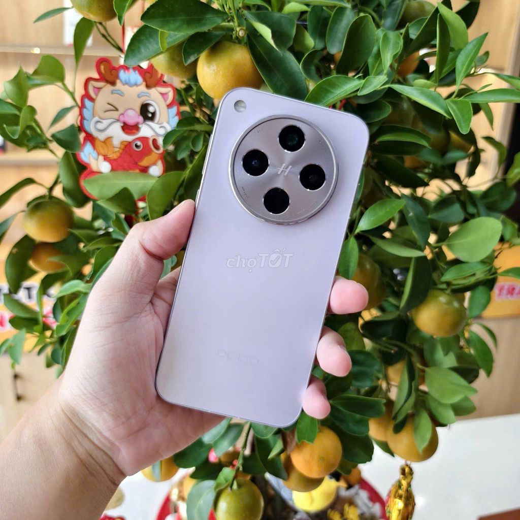 Oppo Find X8s Plus 12/256GB ★ᴛʜᴜ ᴆᴛ ᴄᴜ̃★. Mua bán Điện thoại tại Quận Ninh Kiều Cần Thơ được đăng bởi DI ĐỘNG BULL hình 1