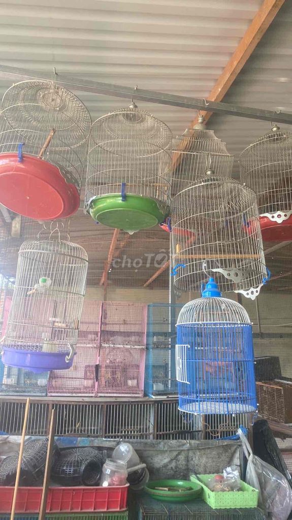 Lồng chim. Mua bán Phụ kiện, Thức ăn, Dịch vụ tại Thành phố Buôn Ma Thuột Đắk Lắk được đăng bởi Hoangtrongdat hình 1