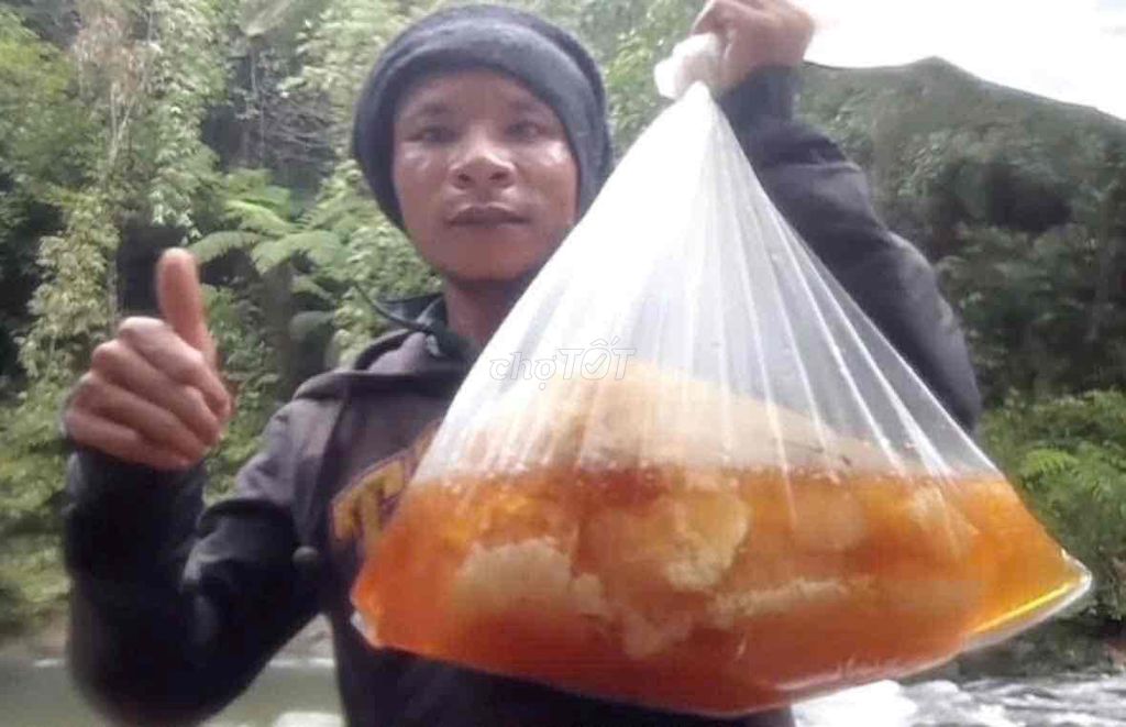 Mật ong rừng nguyên chất. Mua bán Đồ ăn, thực phẩm và các loại khác tại Huyện Hòa Vang Đà Nẵng được đăng bởi Nguyễn thị thu thuỷ hình 1
