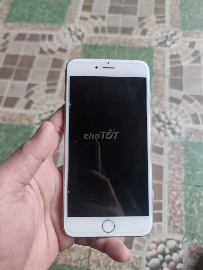 Apple iPhone 6plus Bạc. Mua bán Điện thoại tại Thành phố Buôn Ma Thuột Đắk Lắk được đăng bởi thắng phạm hình 1