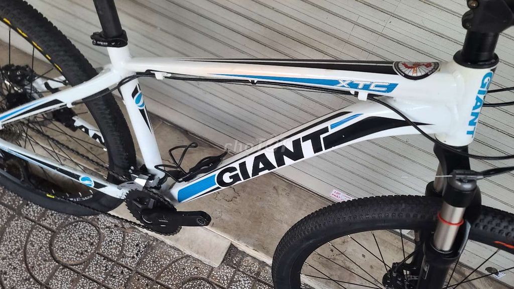 Xe đạp thể thao Giant xtc dĩa dầu