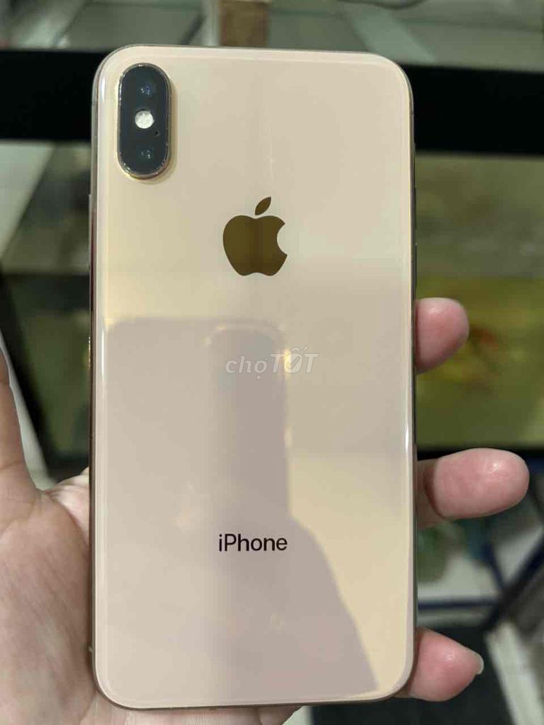 Apple iPhone Xs 64GB Vàng Đã sử dụng. Mua bán Điện thoại tại Thành phố Thủ Đức Tp Hồ Chí Minh được đăng bởi Trí  Trường  hình 1