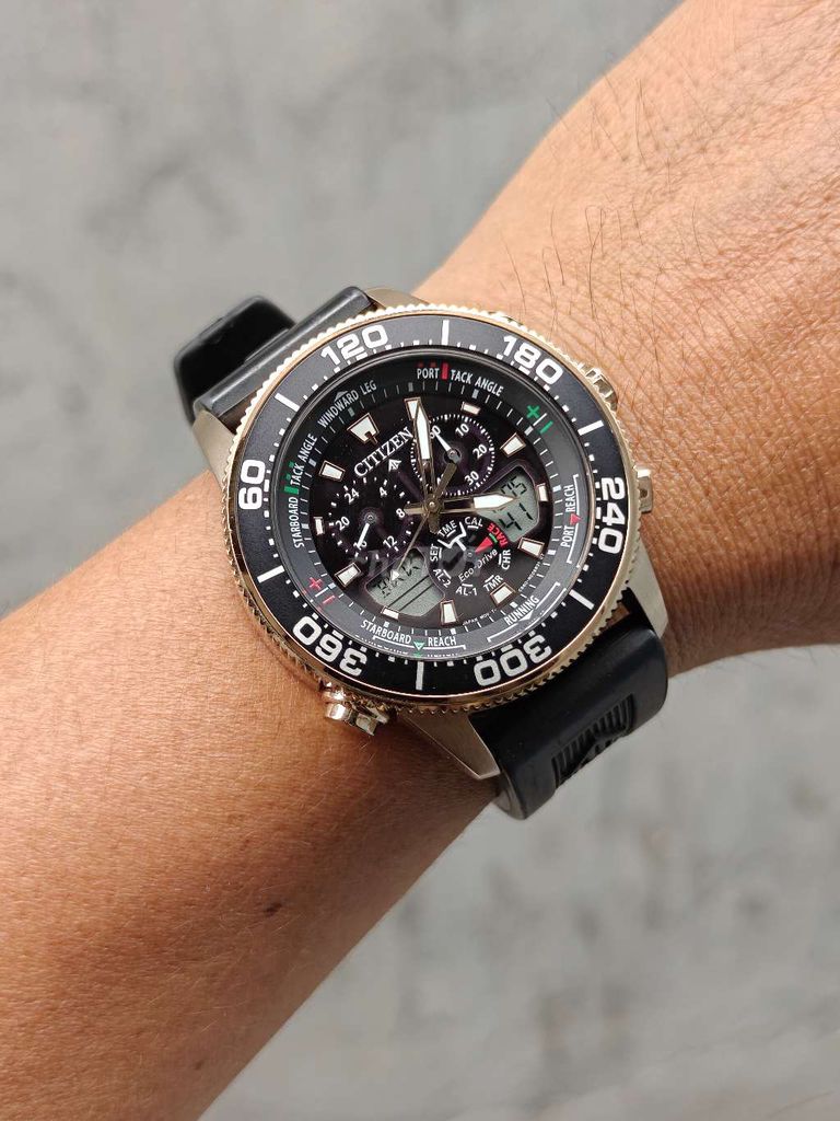 Citizen promaster