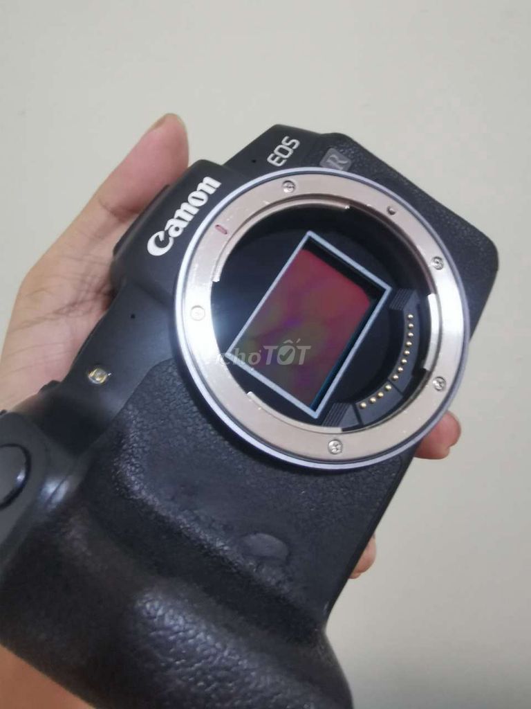 HCM Q2 : Body Canon EOS RP