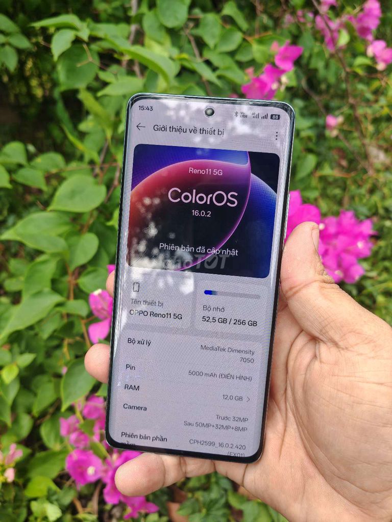 OPPO Reno 11 5G 12GB/256GB Xanh. Mua bán Điện thoại tại Huyện Gò Dầu Tây Ninh được đăng bởi Giao Lưu  hình 1