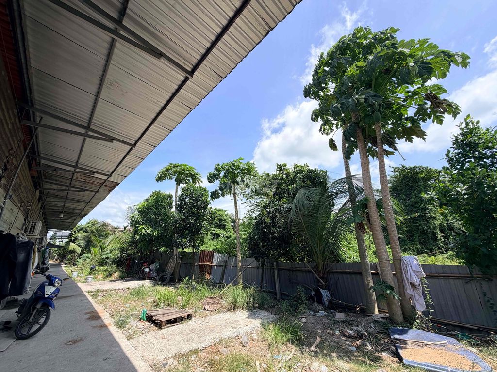 Còn 1 phòng trọ không gác, phù hợp ở lâu dài - ảnh 3