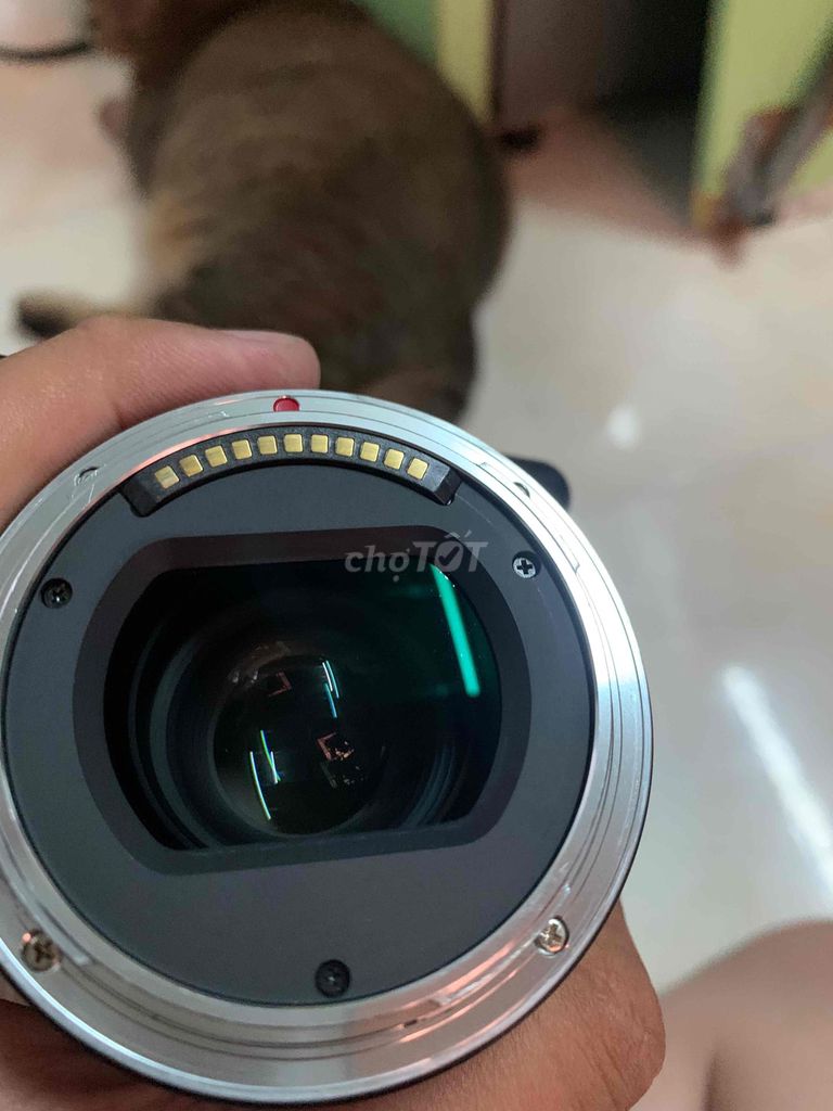 Ống kính TTArtisan 75mm F2 Nikon Z Đen. Mua bán Máy ảnh, Máy quay tại Huyện Nhà Bè Tp Hồ Chí Minh được đăng bởi Nguyễn Trường hình 1